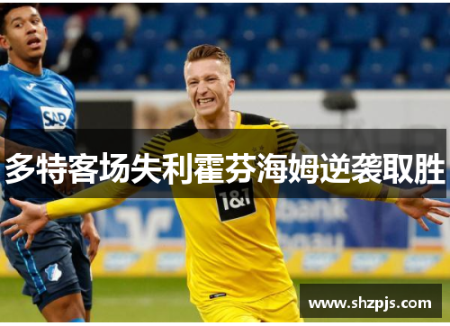 多特客场失利霍芬海姆逆袭取胜